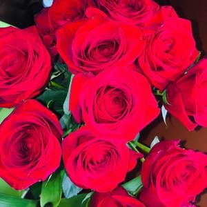 Meet your Posher, Daisy